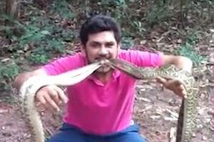Video: Kinh hãi người đàn ông ngậm 4 con rắn chuông kịch độc trong miệng