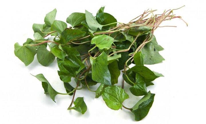 4 cách dùng thuốc nam chữa bệnh trĩ nội ngoại hiệu quả không ngờ