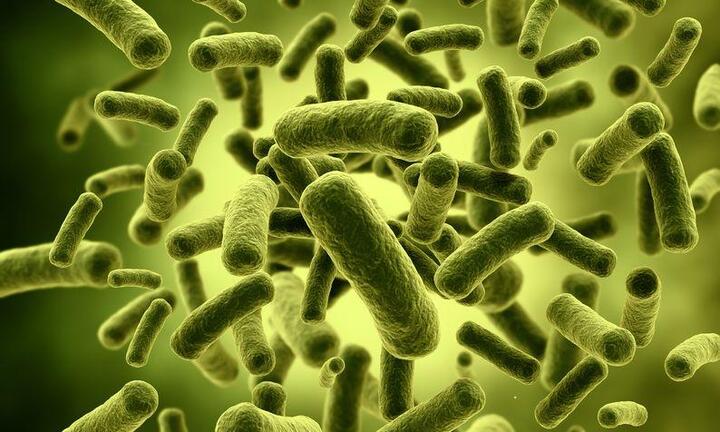 Học người Nhật phòng ngừa rối loạn tiêu hóa do uống rượu bia dịp Tết