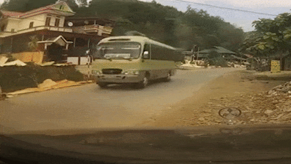 Video: Phản ứng bất ngờ của chủ chó sau khi bị xe khách tông trúng