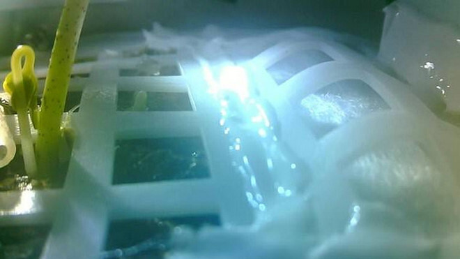 Mới sống được một ngày ngắn ngủi, mầm cây trên Mặt Trăng đã chết giữa cái lạnh -170 độ C