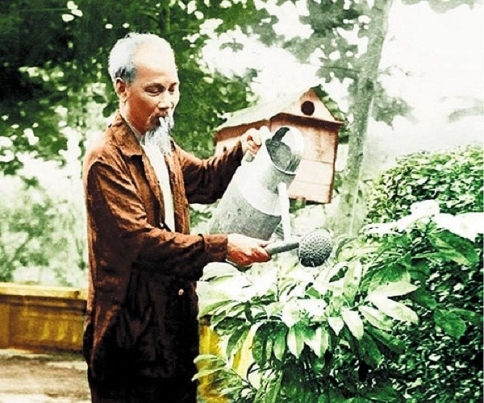 Bác Hồ với Tết Trồng cây năm Kỷ Hợi 60 năm về trước