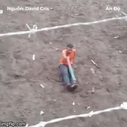 Video: Chàng trai ngồi im thách thức bò tót và cái kết thảm