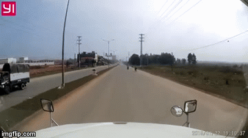 Video: Bé trai đi xe đạp 