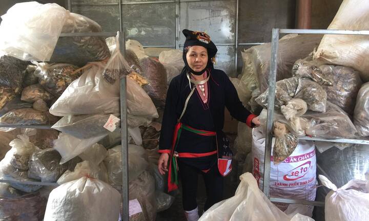 Người nằm cáng vì bệnh xương khớp vượt suối băng băng nhờ thảo dược