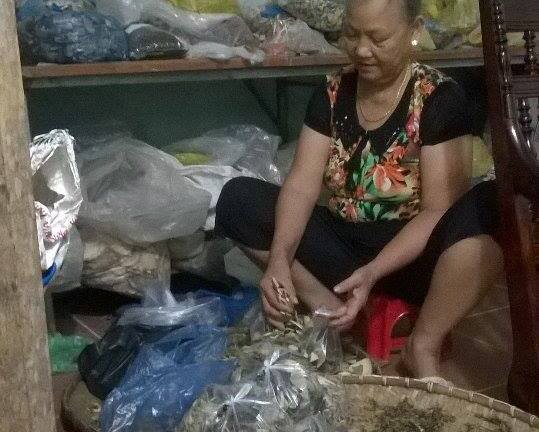 “Đệ nhất danh y” tận tay hái dược liệu quý hiếm “đập tan” nỗi đau bệnh xương khớp