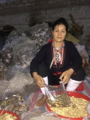 Danh y Tản Viên Sơn công bố thảo dược mệnh danh 'kẻ huỷ diệt đường' cứu nhiều người