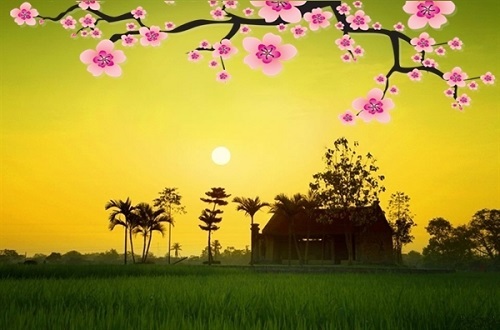 Cảm xúc năm mới qua những chùm thơ xuân