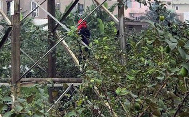 Tin tức thời sự 24h mới nhất ngày 28/1/2019: Thư tuyệt mệnh của thanh niên treo cổ chết, 2 tay bị trói viết gì?