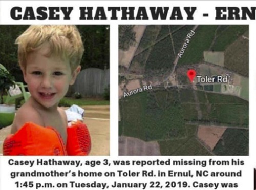 Lạc trong rừng 3 ngày, cậu bé sống sót thần kỳ vì được gấu chăm sóc