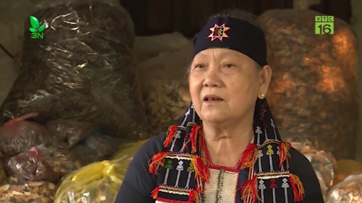 Bí ẩn công dụng tức thời của loài cây mọc theo đôi, chữa yếu sinh lý cả nam và nữ