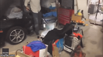 Video: Sởn da gà cảnh tay không bắt gọn rắn kịch độc dài hơn 2 mét