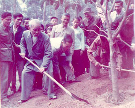 Nhớ Bác Hồ trồng cây năm xưa