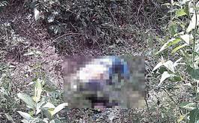 Đi bắt ốc ngày Tết, tá hỏa phát hiện người đàn ông nằm chết bên bìa rừng, thi thể phân hủy mạnh