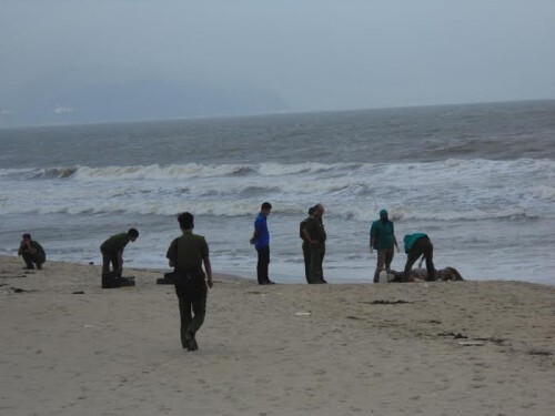 Tin tức thời sự 24h mới nhất ngày 11/2/2019: Xác chết không đầu dạt vào bờ biển Phú Quốc