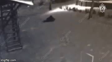 Video: Sững sờ cảnh bé gái 10 tuổi tung tuyệt chiêu karate đánh tới tấp kẻ ấu dâm