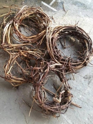 Công bố vị thuốc quý giúp người yếu sinh lý “yêu” như xưa chỉ sau 1 tuần