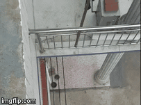 Hi hữu: Phấn khích vì gặp lại chủ, chú chó lao từ tầng 2 xuống đón khiến người đàn ông gãy cổ