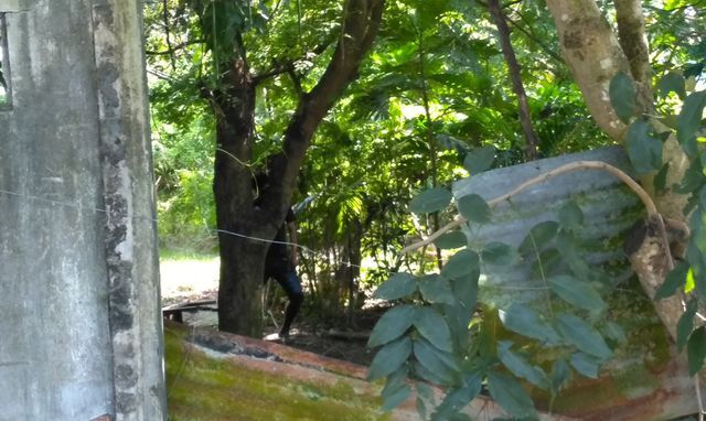 Đi chăn trâu, tá hỏa phát hiện thi thể treo trên cây đang phân hủy nặng