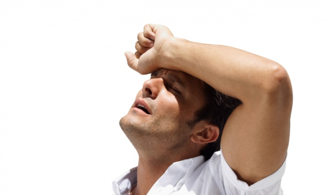 Cẩu tích - bài thuốc giúp nam giới