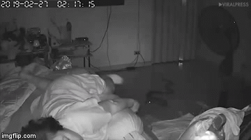 Video: Rùng rợn cảnh trăn bò vào nhà cắn cụ bà lúc nửa đêm