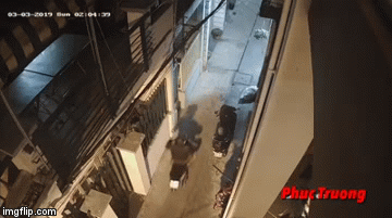 Video: Cố giằng lại ví tiền, cô gái trẻ bị tên cướp đạp ngã sõng soài trong đêm vắng