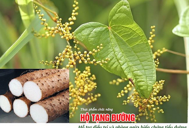 Công thức kết hợp “tứ thảo” ổn định đường huyết, đẩy lùi biến chứng cực nhanh