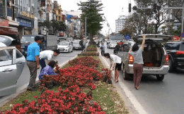 Ngao ngán cảnh người dân thủ đô đánh cả ô tô đến “hôi hoa” trên đường Kim Mã