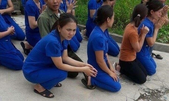 Vụ giáo viên quỳ gối xin dạy: Nghệ An chốt phương án xử lý đất đai