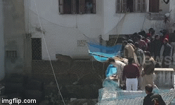 Video: Vây bắt báo hoang đột nhập làm loạn khu dân cư, liệu nó có bị sa lưới?