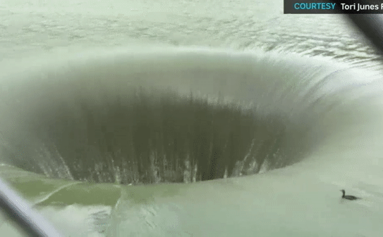 Video: Chim cốc thoát chết khỏi hố tử thần sâu 75 mét gây sốt mạng xã hội