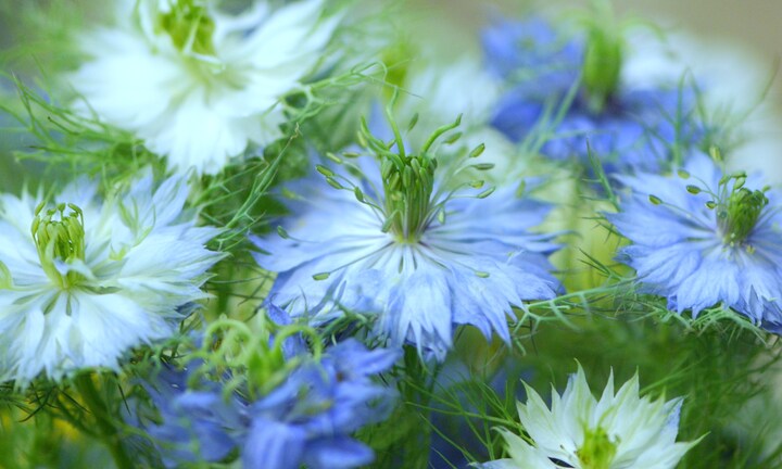 12 cung hoàng đạo ngày 12/3/2019: Bảo Bình có cơ hội thăng tiến trong công việc