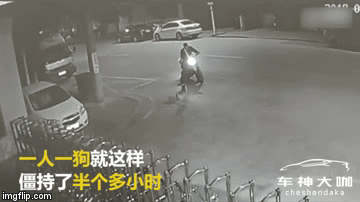 Video: Bất ngờ bị đuổi, gã say đứng cãi nhau tay đôi với chó gần 30 phút và cái kết bất ngờ