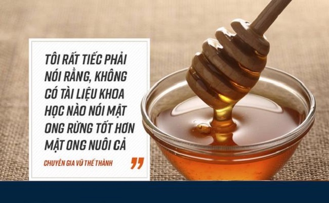Cách phân biệt mật ong rừng tự nhiên, mật ong nuôi
