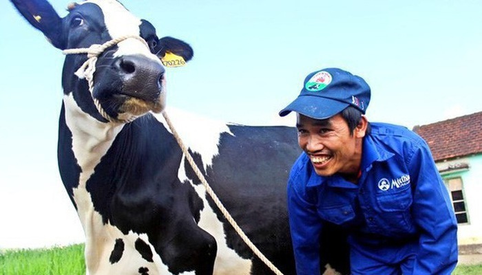 Vinamilk sẵn sàng chi 1.500 tỷ chào mua 47% cổ phần công ty sở hữu Sữa Mộc Châu