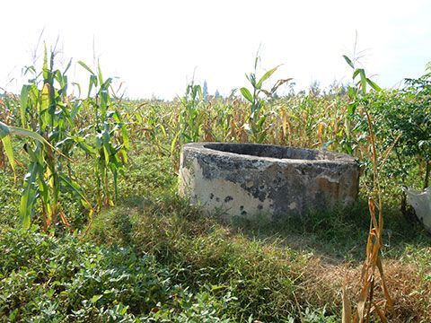 Phát hiện thi thể bé gái 2 tuổi dưới giếng nước trong căn nhà hoang