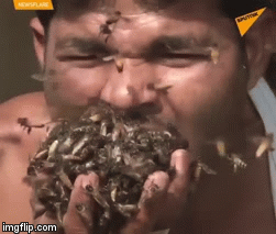 Video: Rùng mình khoảnh khắc người đàn ông nhét hàng trăm con ong vào miệng