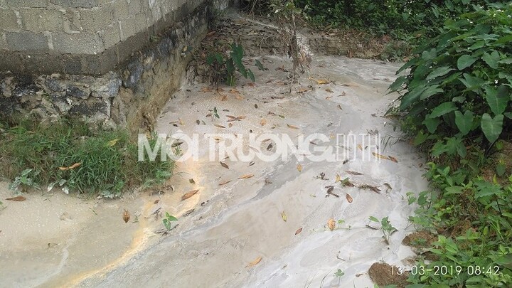 Phú Thọ: Dân kêu cứu vì công ty bê tông Đức Anh xả thải ra môi trường?