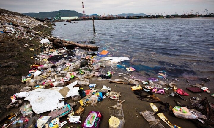 Động vật biển chết hàng loạt do nuốt phải rác thải nhựa