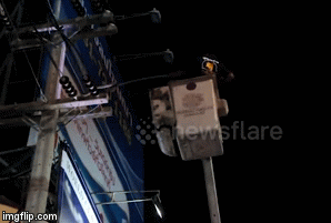 Video: Trăn 2 mét treo lơ lửng trên cột điện khiến phố đèn đỏ Thái Lan hỗn loạn