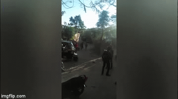 Video: Sư tử điên cuồng tấn công một ngôi làng ở Ấn Độ