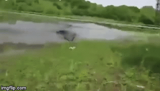 Video: Cá sấu lao lên bờ cướp mồi, cần thủ bỏ chạy thục mạng