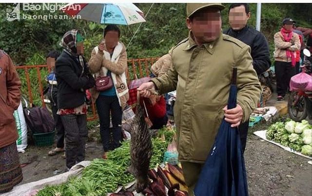 Xác minh thông tin khách du lịch bị “gài bẫy” khi mua thịt thú rừng ở Sa Pa