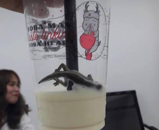 Khách gọi trà sữa, Bobapop 