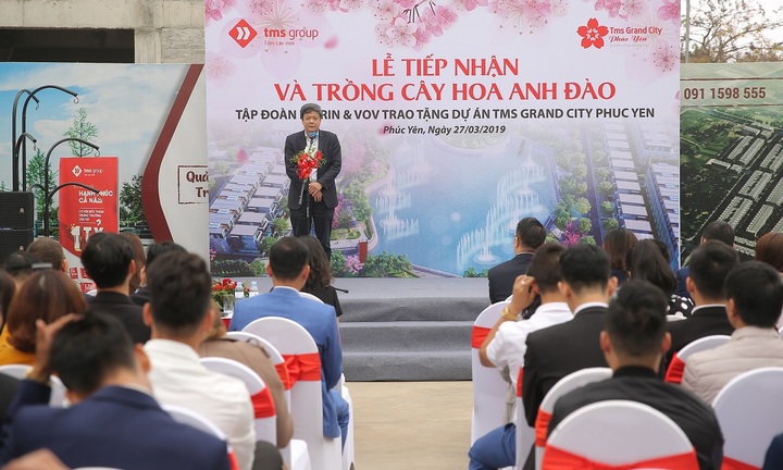 Khởi trồng con đường hoa anh đào đầu tiên tại Phúc Yên