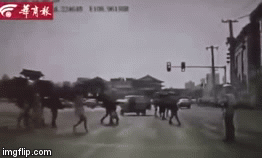 Video: Bất chấp quyến rũ cảnh sát giao thông, cô gái nhận cái kết “đắng ngắt”