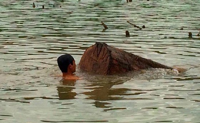 Phát hiện lượng lớn gỗ không rõ nguồn gốc nằm dưới ao trong rừng phòng hộ