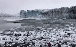 Video: Du khách hoảng hồn thoát khỏi