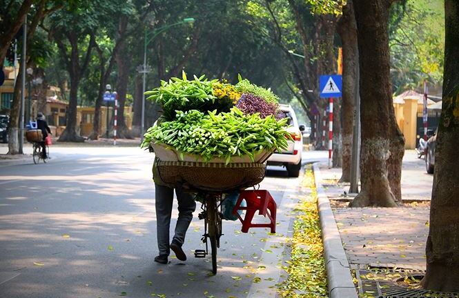 Dự báo thời tiết ngày 8/4: Hà Nội ban ngày nắng đẹp, chiều tối có mưa dông