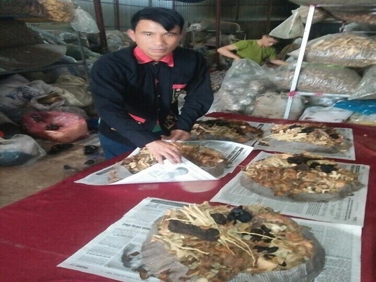 Công bố công thức “hợp nhất tam thảo” đẩy lùi bệnh tật giúp giấc ngủ tìm đến cực nhanh